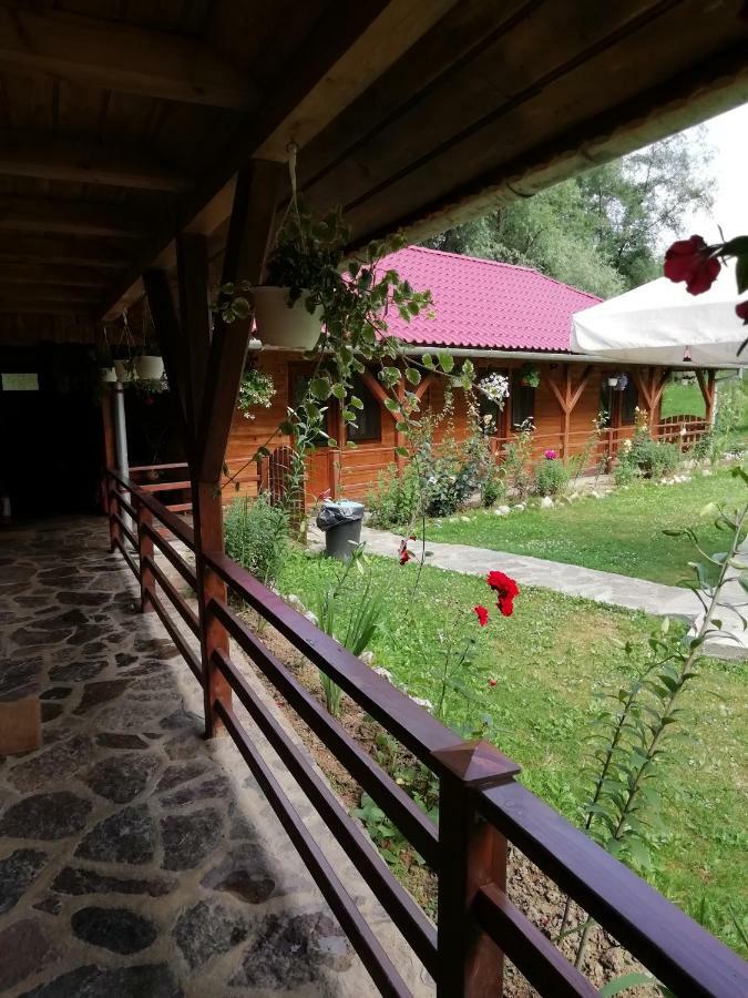Pensiunea La Busu -Bigar Bozovici Exterior foto