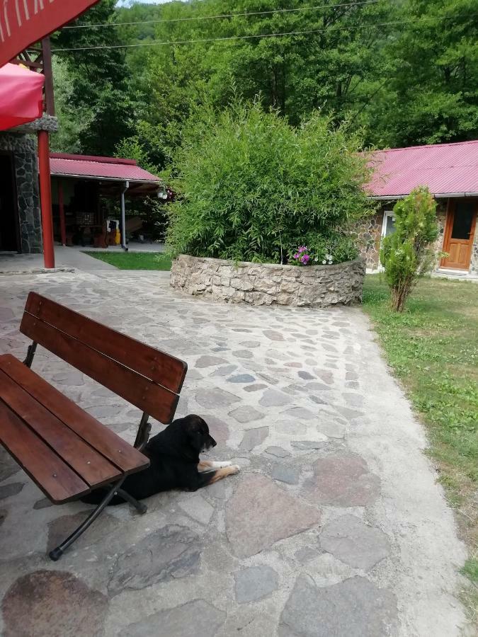 Pensiunea La Busu -Bigar Bozovici Exterior foto